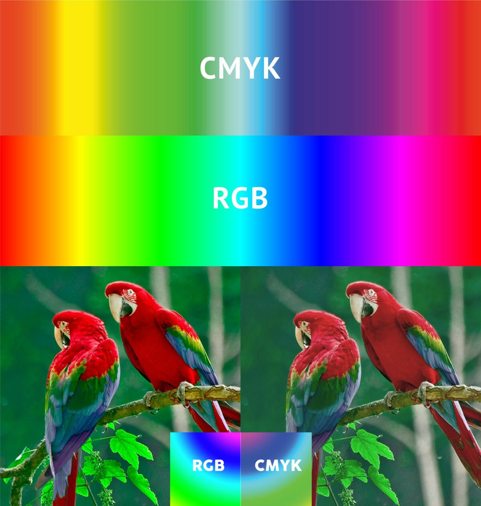 Сравнение CMYK и RGB